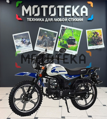 Мопед MotoLand (Мотолэнд) Альфа Forester RS 11 (LM48-B) синий (A)